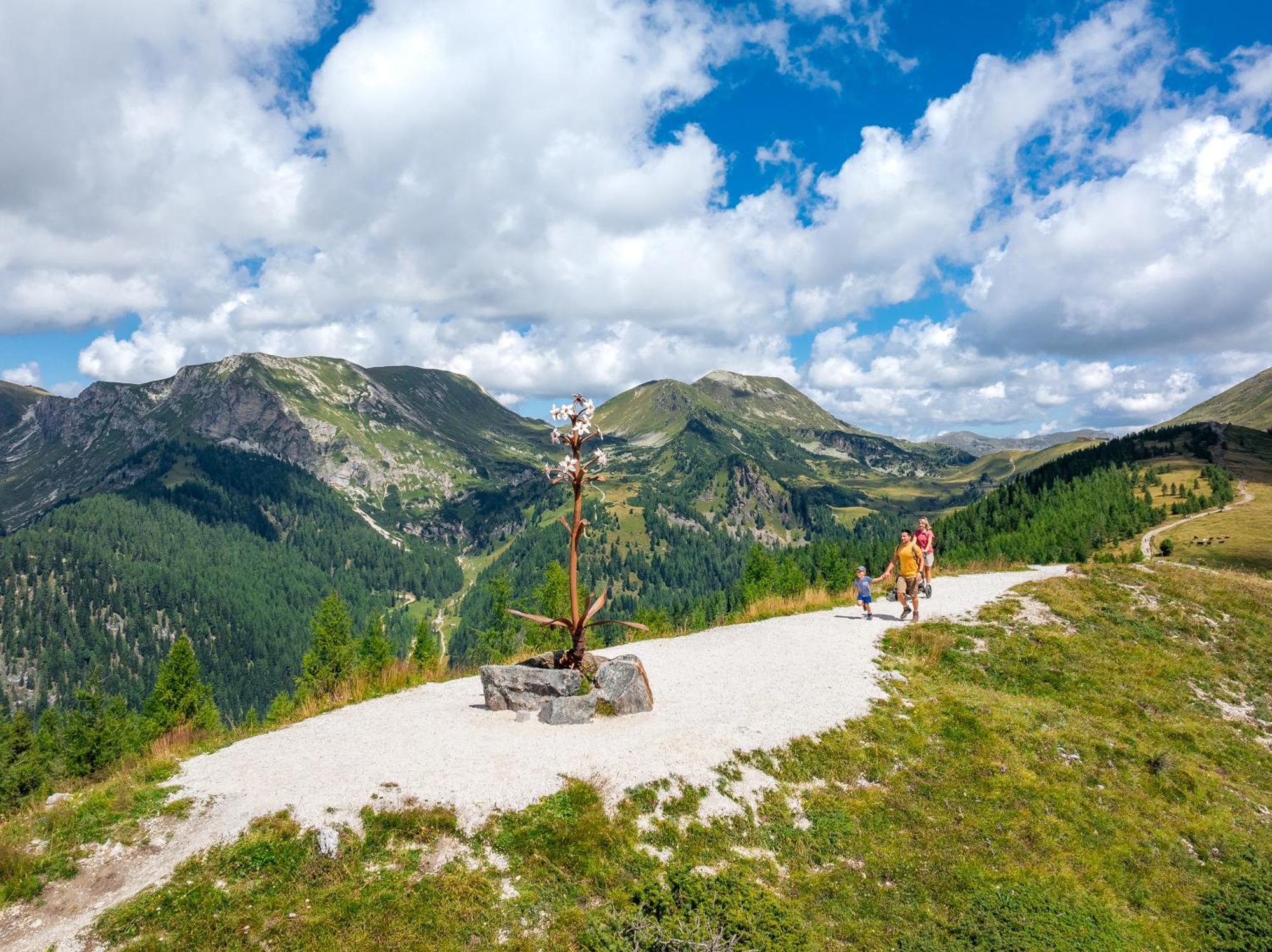 Residence Alba Montis Bad Kleinkirchheim Ngoại thất bức ảnh